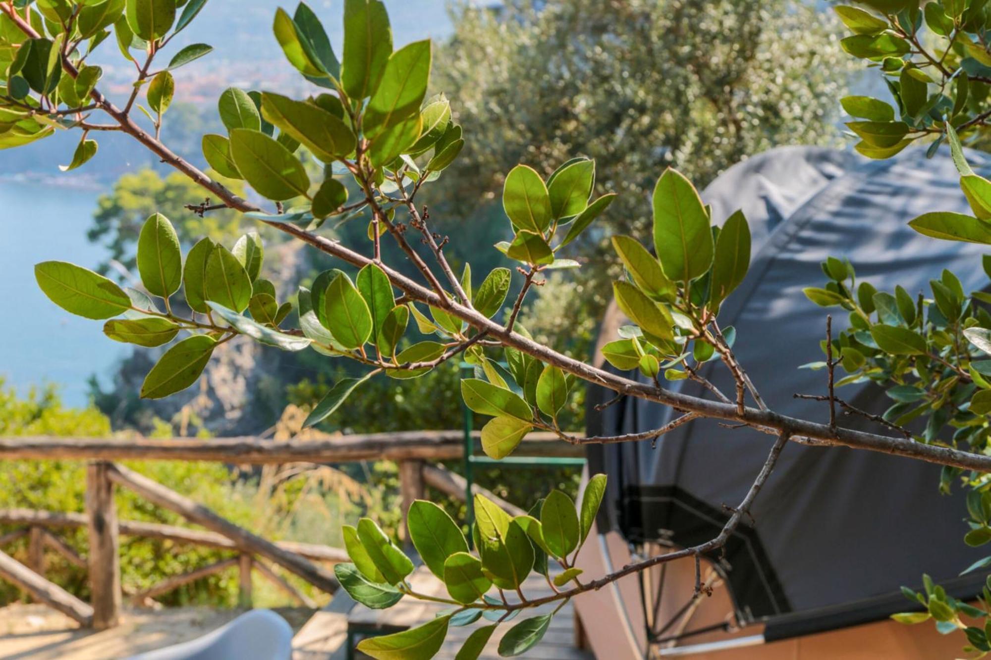 Hostel & Glamping Santa Fortunata Sorrento Exterior photo